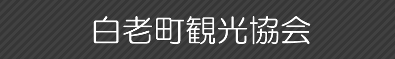 白老町観光協会